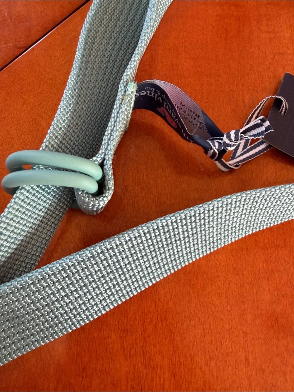 NWT Light Aqua Double-Ring Fabric Belt - Women Accessories large